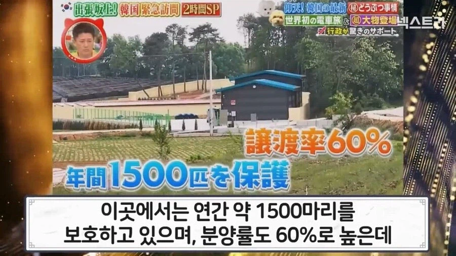 한국의 국책에 감탄하고 부러워한 일본인_4.webp