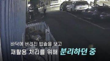 70대 경비원이 분리수거장에서 발견한 것._2.webp