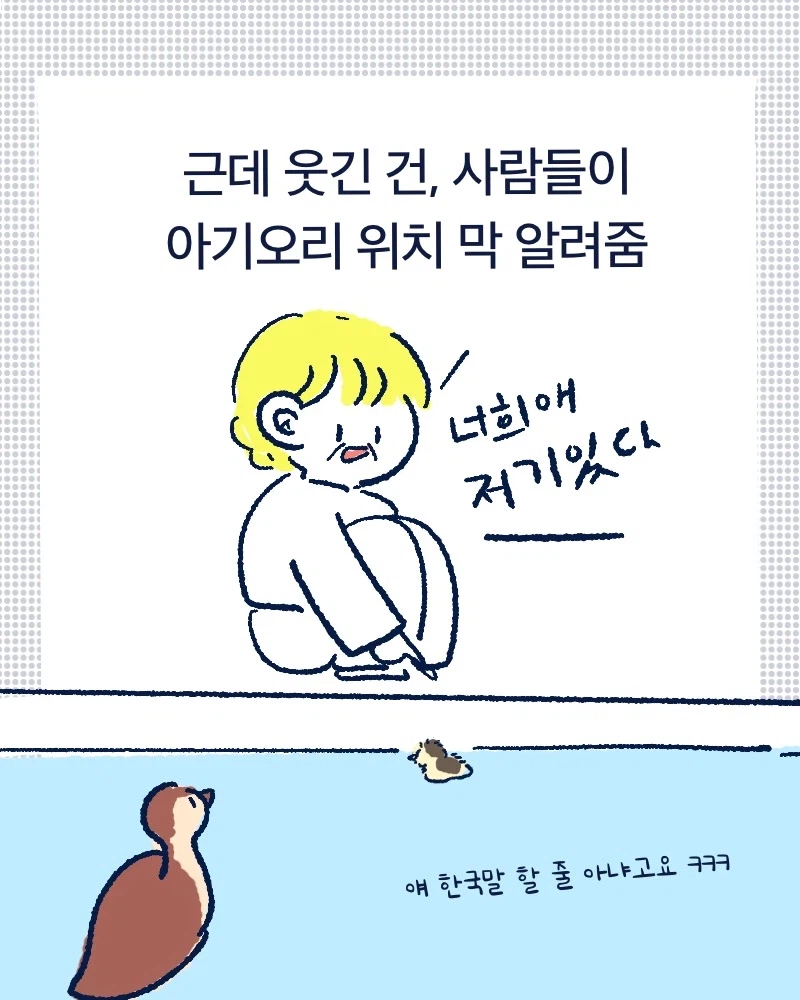 청계천 아기오리들.mp4_7.webp