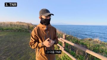 다시 한번 길고양이 문제에 대해 강하게 어필하는 유튜버 (※스압주의)_13.webp