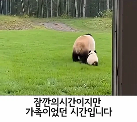 유투브 쇼츠 AI 뇌절 대잔치_12.webp