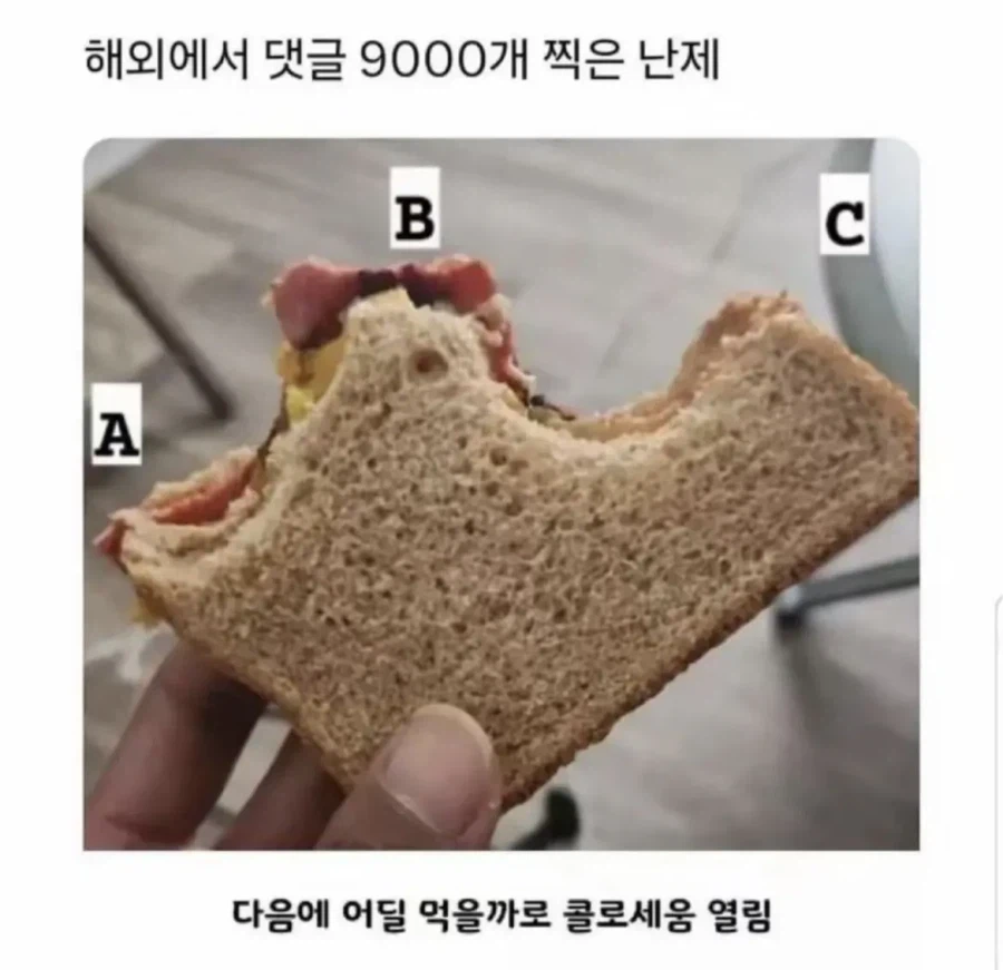 해외에서 댓글 9천 개 찍힌 난제_1.webp
