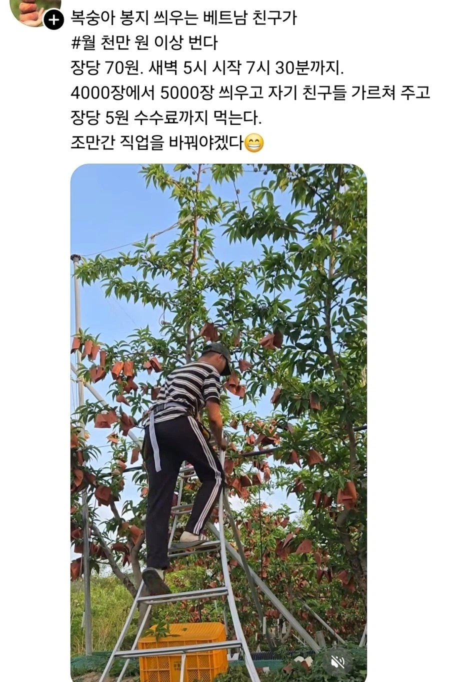 월천 벌어간다는 베트남 외노자._1.webp