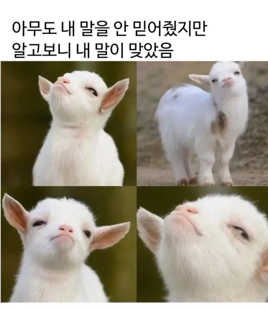 커뮤에서 이슈가 지나가고 난 뒤에 특징_1.webp