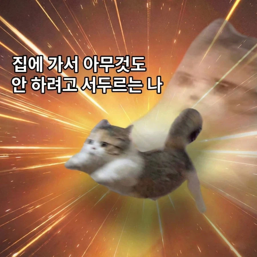 김 대리는 늘 칼퇴하던데 집에 가면 뭐해?_1.webp