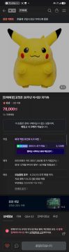 네이버스토어 포켓몬30주년 어서와! 피카츄 (78000원)_2.webp