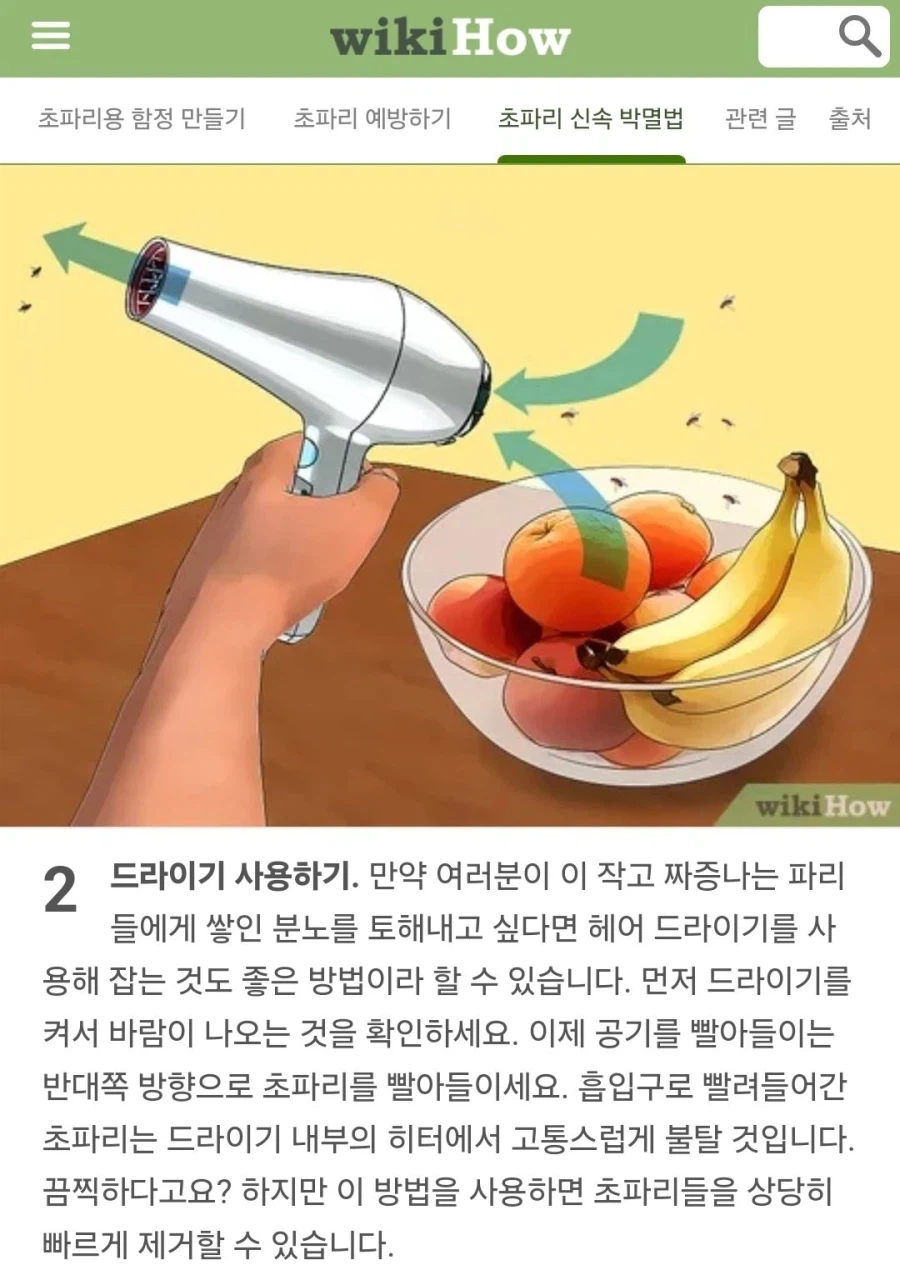 초파리 제거법이 끔찍하다구요?.jpg_1.webp