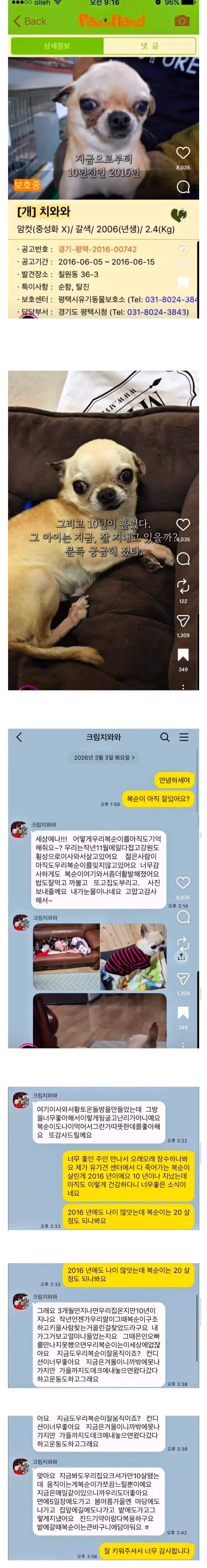 10년전 유기견을 입양했었던 사람한테 다시 연락을 해봤더니..jpg_1.webp