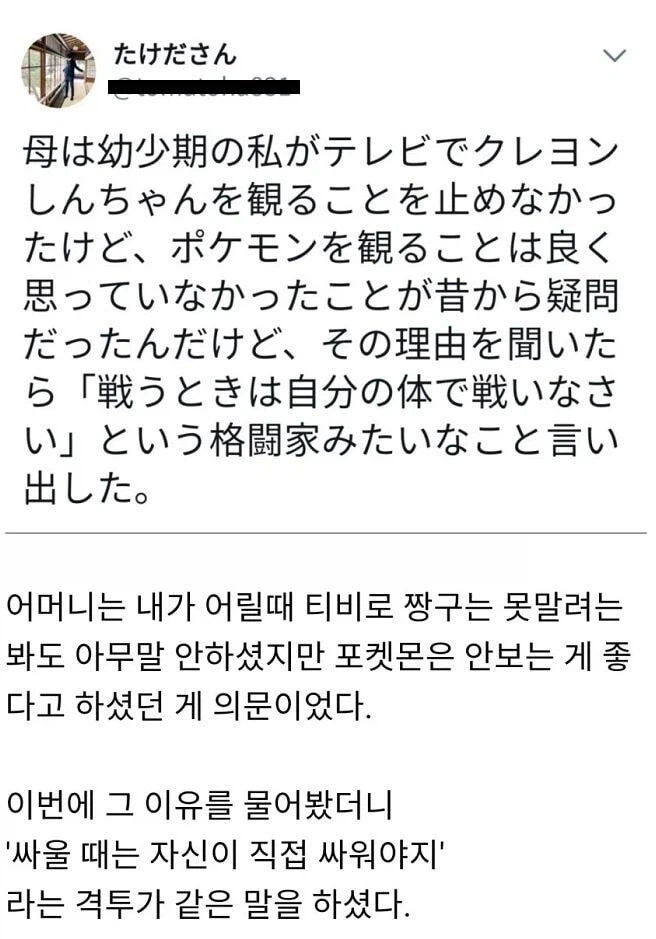 어머니가 포켓몬을 못보게 한 이유_1.webp