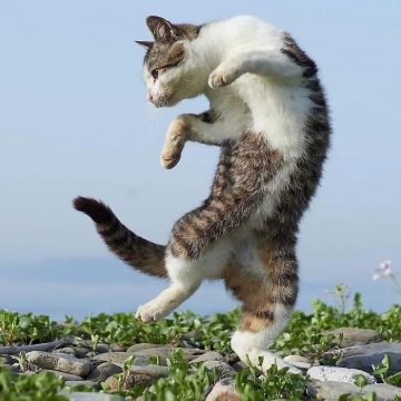 우효~따끈따끈한 논란거리 발견♡_2.webp
