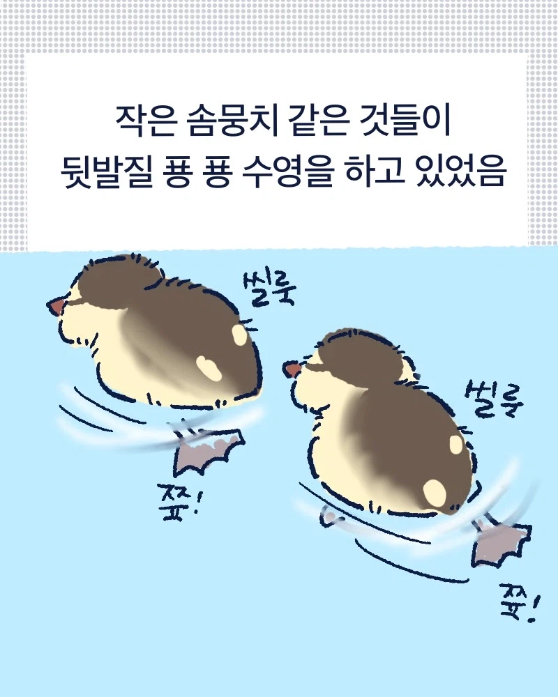 청계천 아기오리들.mp4_2.webp
