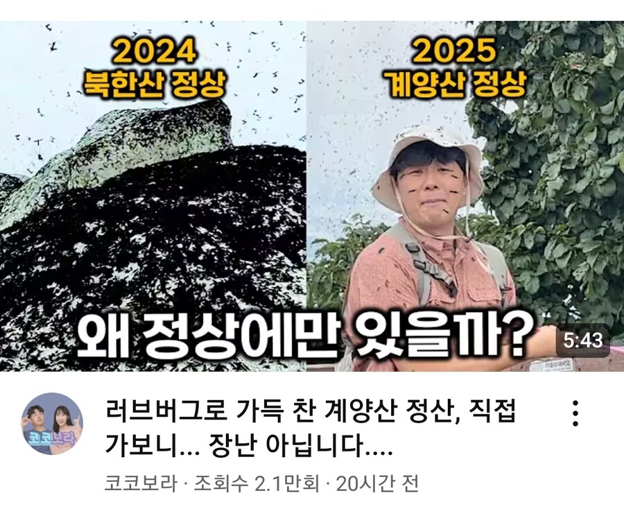 작년에 있었던 계양산 싱크로니시티 사건_3.jpg