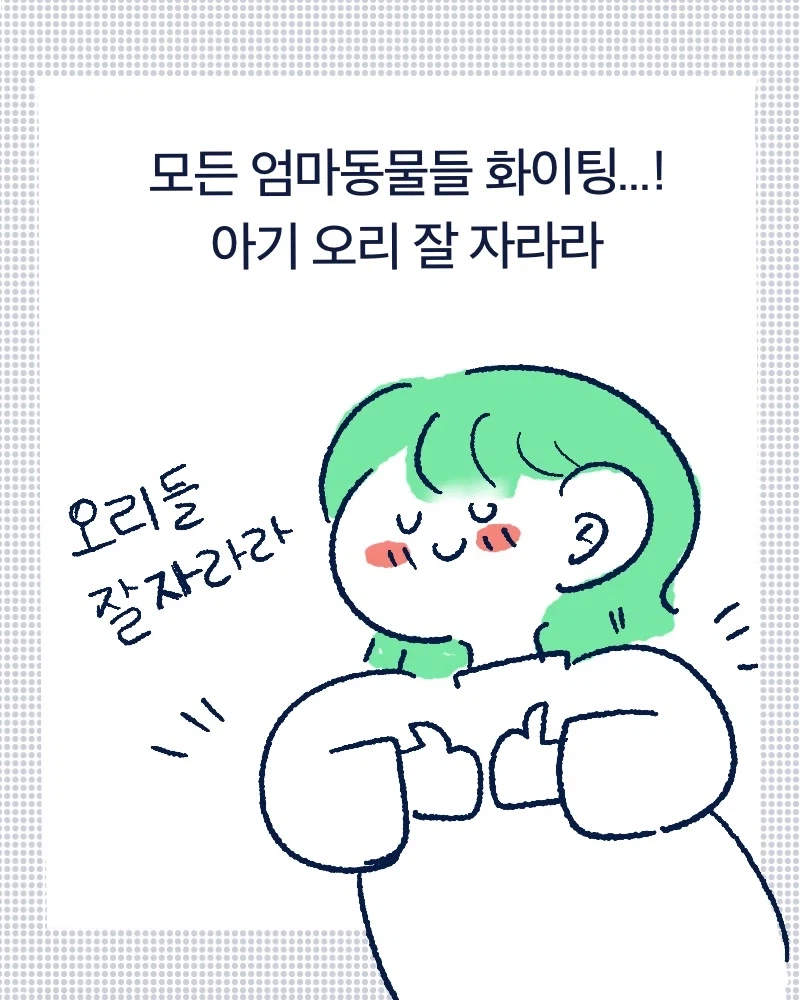 청계천 아기오리들.mp4_8.webp