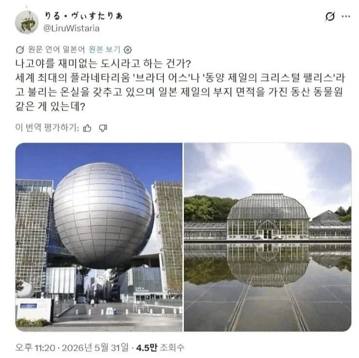 한국인에게 긁힌 일본인_2.webp