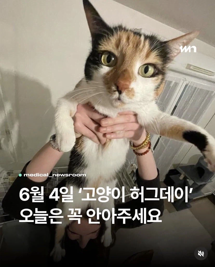이런 중요한 사실을 왜 아무도 알려주지 않았지???_1.webp