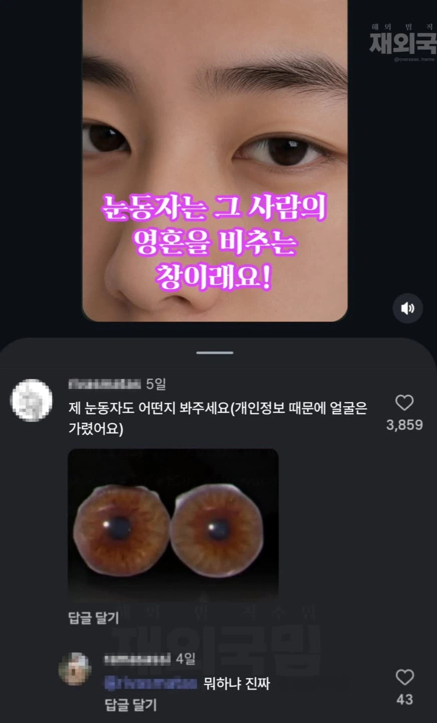 눈동자는 그 사람의 영혼을 비추는 창이다.jpg_1.webp