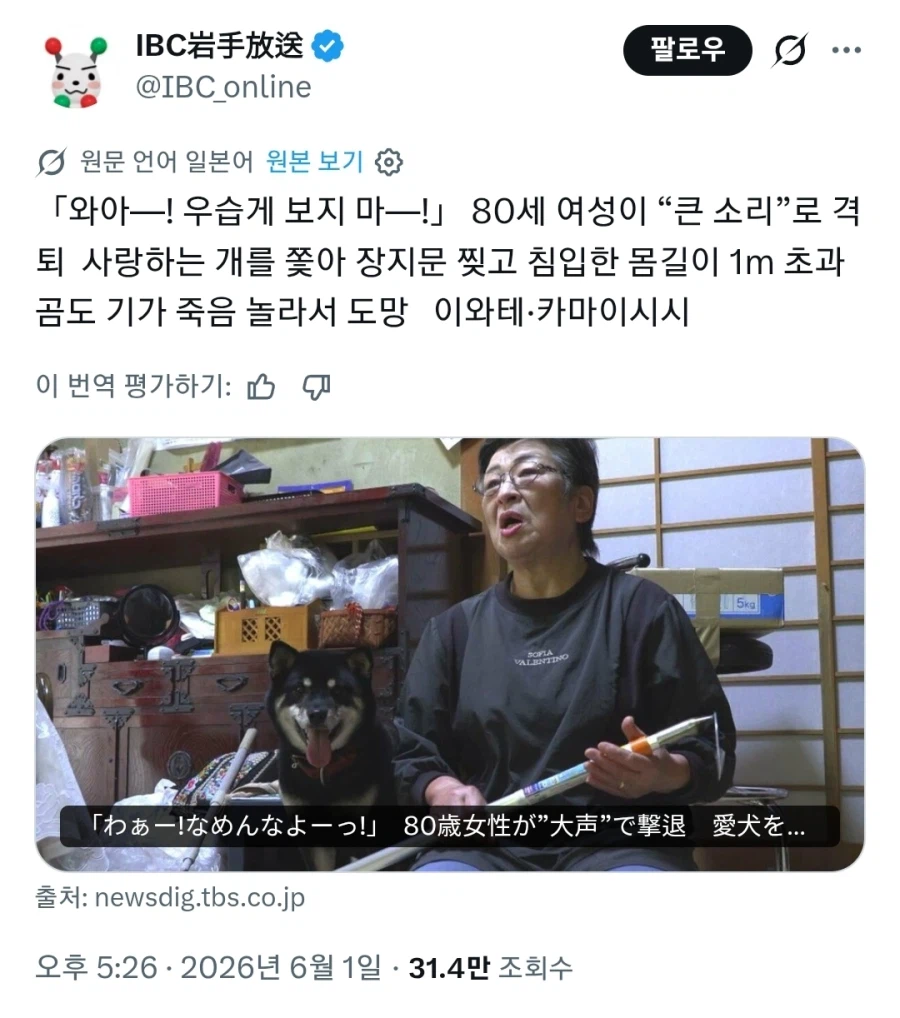 일본에서 일어난, 곰으로부터 주인을 지킨 반려견 이야기_1.webp