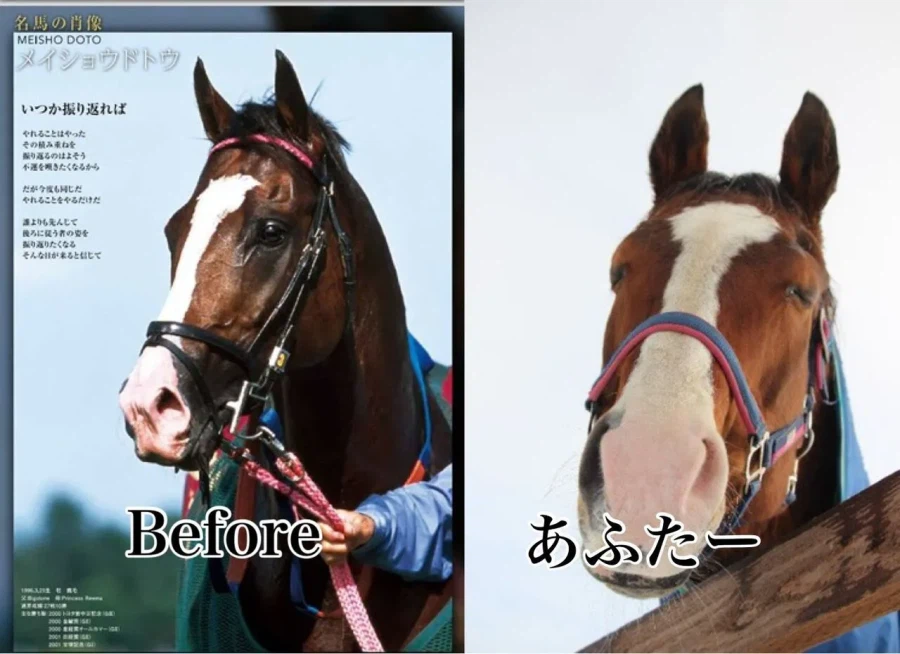 현역 VS 쉼_1.webp