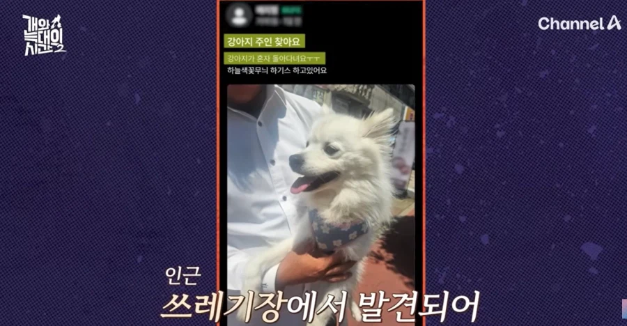 강형욱 나오는 개와 늑대의 시간 진짜 역대급 빌런나오더라_11.webp