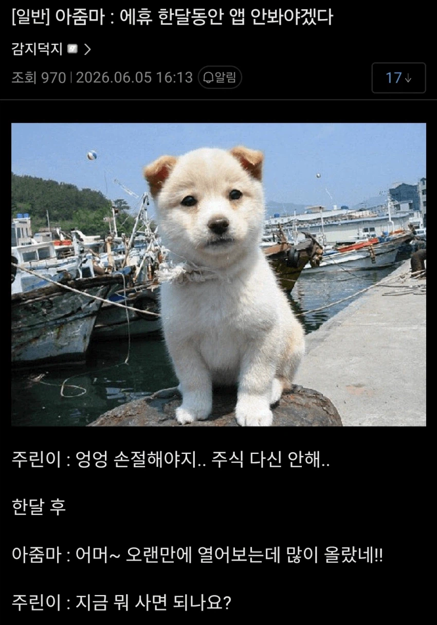 주식갤 업데이트.jpg_4.webp