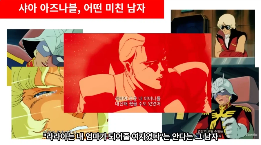 유투버의 샤아에 대한 분석_3.webp