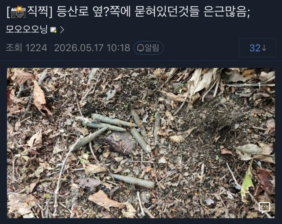 등산하다 불발탄 발견한 군갤럼_4.webp