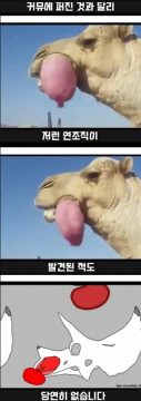 커뮤니티 고생물 뉴스는 일단 중립기어 박아야 하는 이유_8.webp
