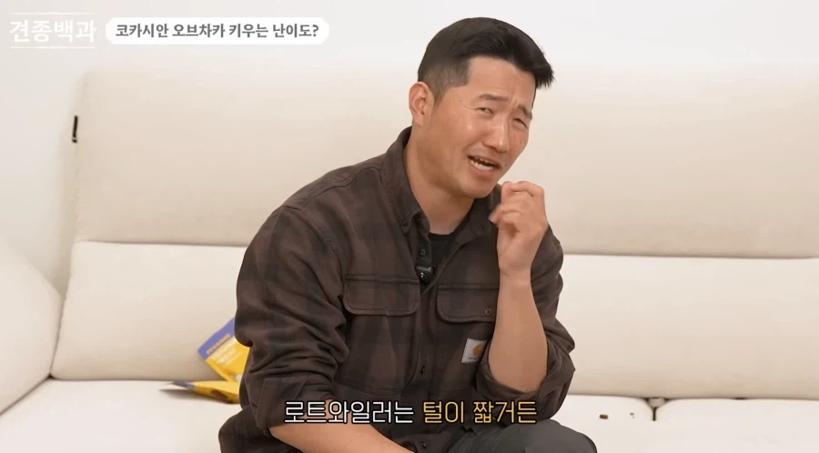 강형욱이 로트와일러 같은 맹견보다도 키우기 힘들다한 견종.JPG_5.webp