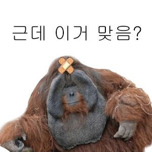 검은사막 유저들 요약.JPG_2.png