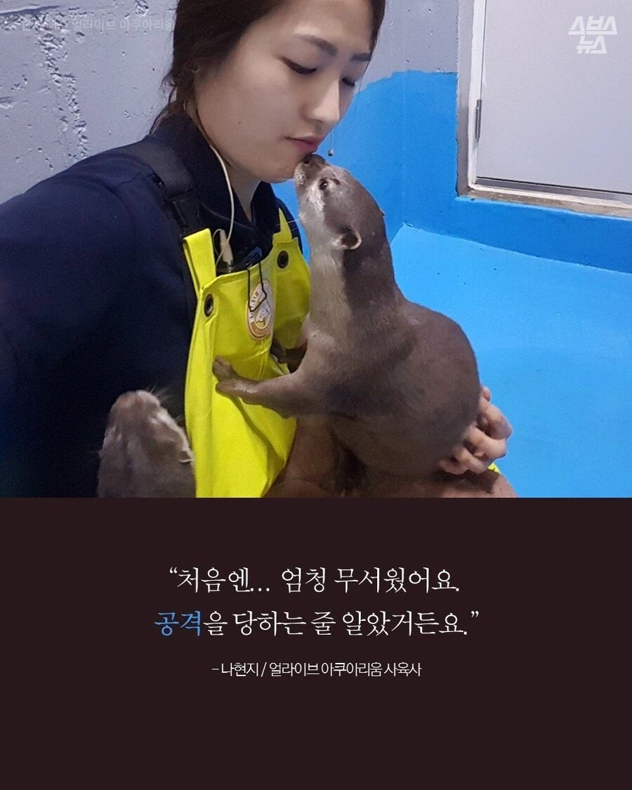 고양이 외에도 인간에게 새끼 맡기는 동물.JPG_3.webp