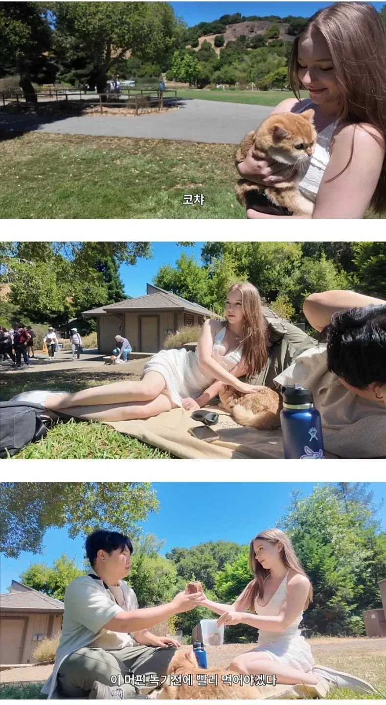 악플이 달리는 국제커플 유튜브.jpg_1.webp