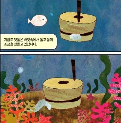 발트해 염분이 모자란 이유_1.webp