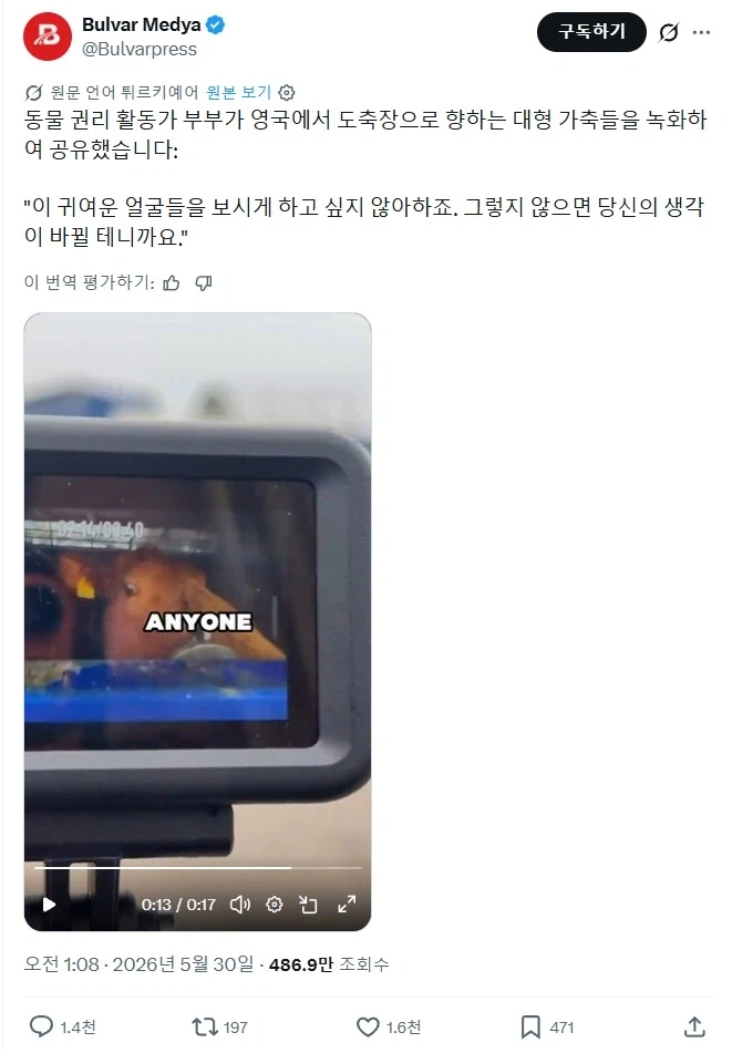 동물권리 활동가 : "이 도축장으로 향하는 동물들의 눈을 보세요"_1.webp