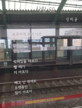 "박혀있을때보다 뺄때가 더 아프다."_2.webp