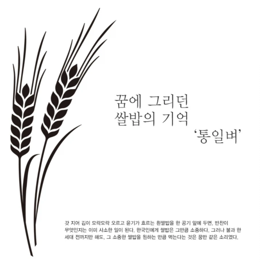 50원 동전에 통일벼가 있는 이유_3.webp