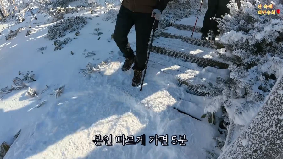 제주 한라산에서 일어난 사기극_1.webp