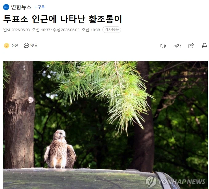 투표소 점거해도 안쫒음_1.webp