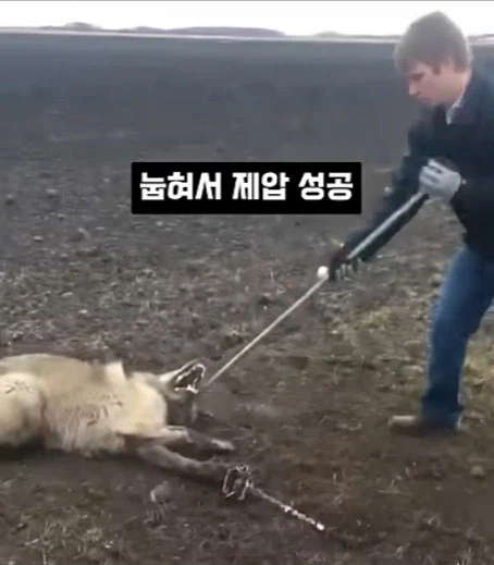개를 발명하는 과정_6.webp
