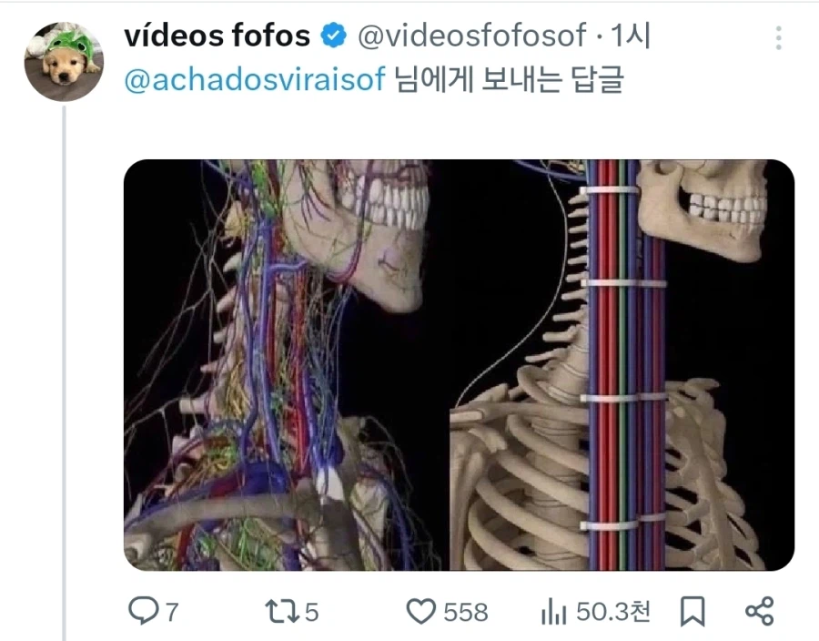 우문현답_2.webp
