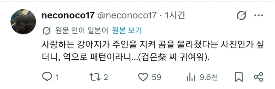 일본에서 일어난, 곰으로부터 주인을 지킨 반려견 이야기_2.webp