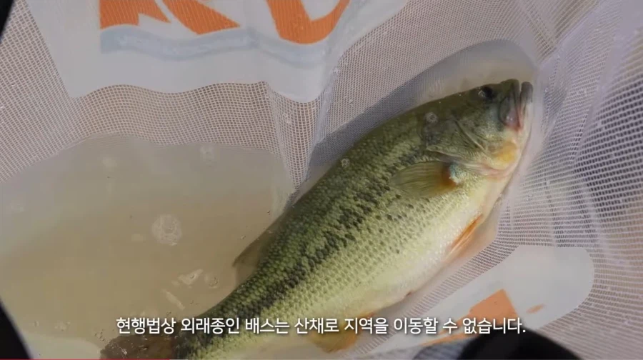 의외로 하면 위법인 것_2.webp