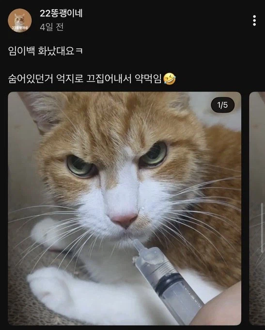 민화 호랑이는 눈깔을 왜 그렇게 뜰까?_1.webp