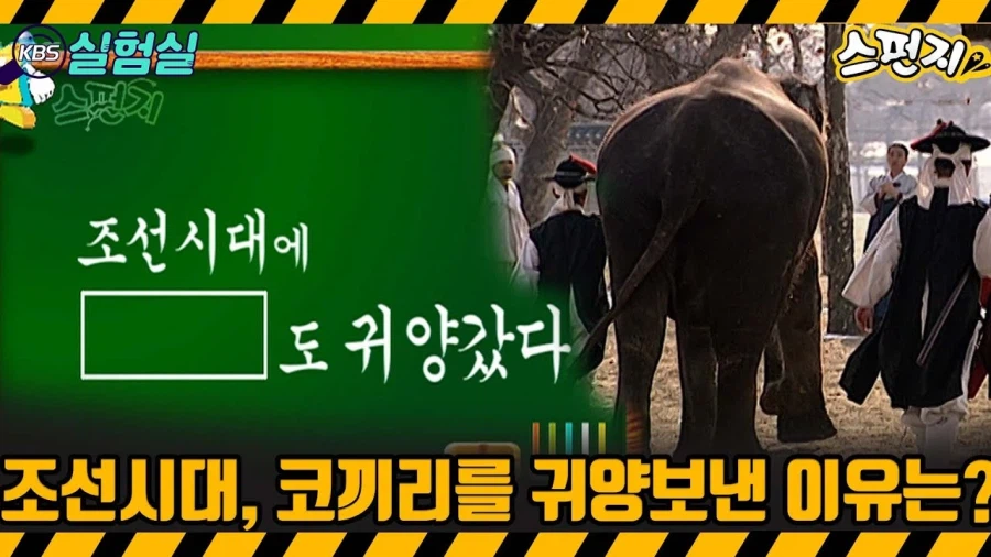중세 유럽에선 가축 등 동물도 재판을 받았다_1.webp