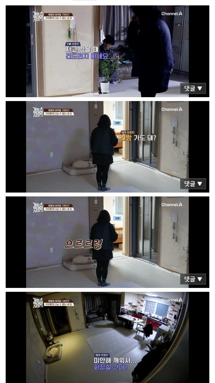 개팔자 상팔자 레전드...jpg_1.webp