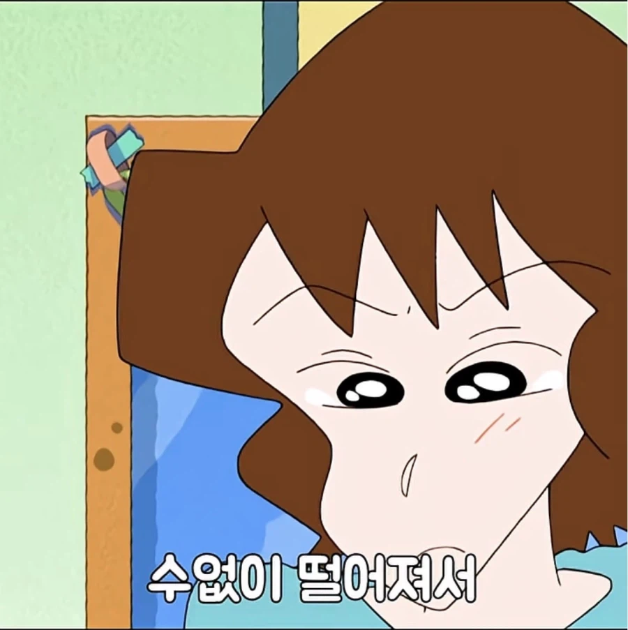 짱구 나이먹으면 다른 평가가 나와서 재밌는 거_12.webp