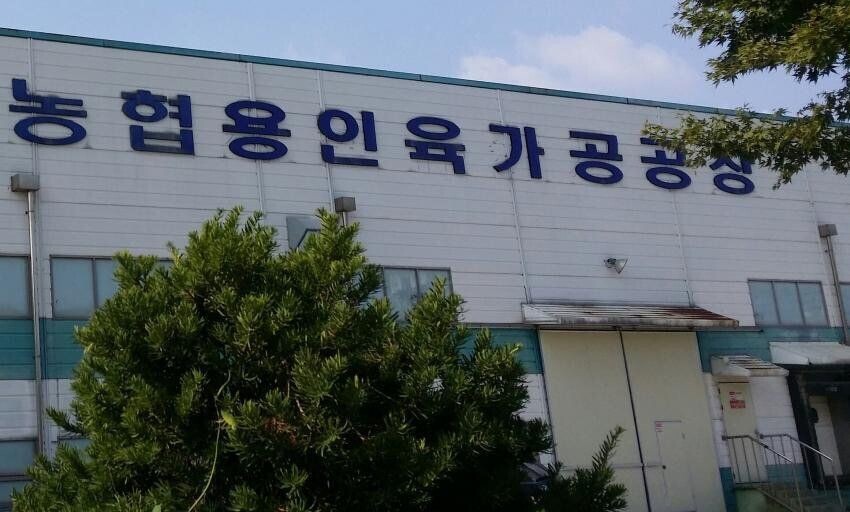 대한민국의 수상한 가게들_4.jpg