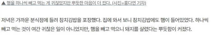 김밥 옆구리 터지는 소리하는 비건인_3.webp
