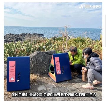 현재 진행형인 마라도의 생태계와 고양이 문제_7.webp