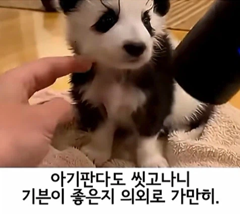 유투브 쇼츠 AI 뇌절 대잔치_6.webp