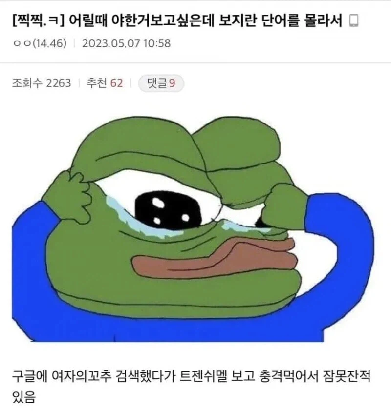 잘 모르는 개념을 검색하다 내상을 입은 잼민이_1.webp